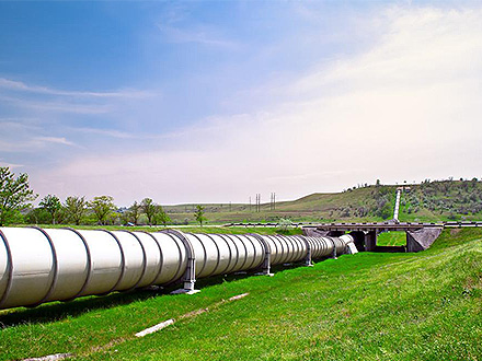 中欧网址产品中心二